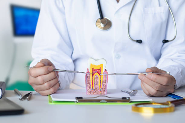 Best Emergency Wisdom Teeth Removal in Tega Cay, SC